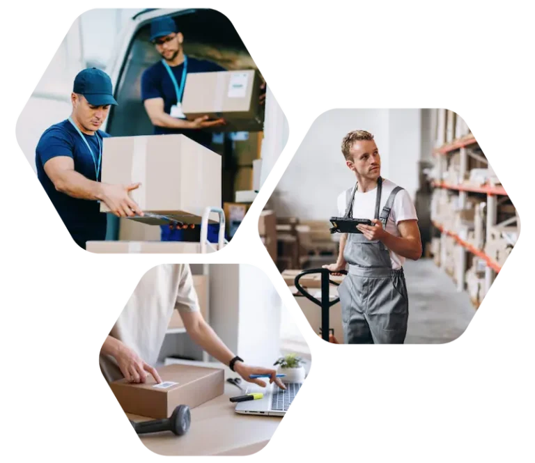 Expedičný systém pre e-shopy - Chameleoon