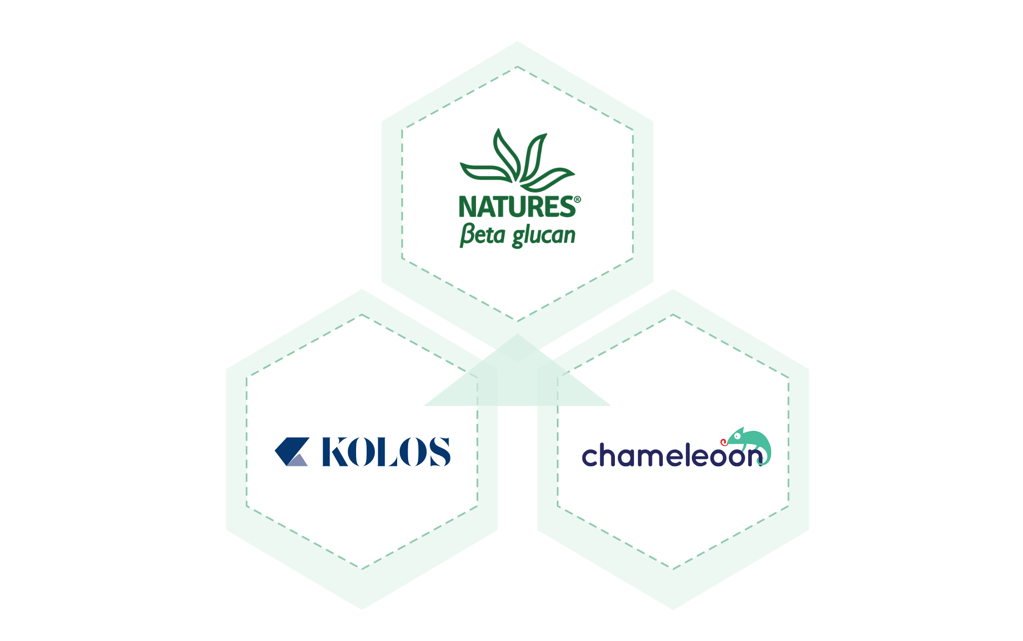 Integrácia Natures, KOLOS a Chameleoon – schéma riešenia